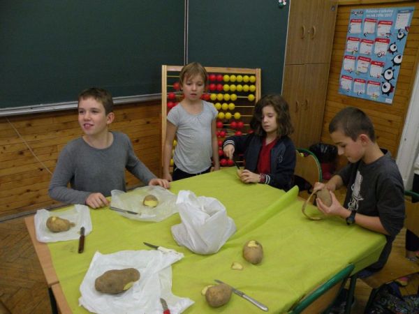 DSCN9342.JPG