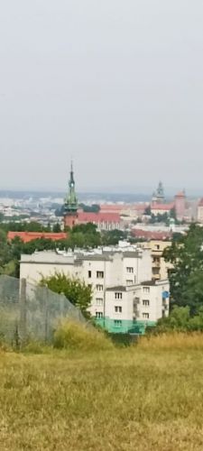 IMG-20230621-WA0008.jpg