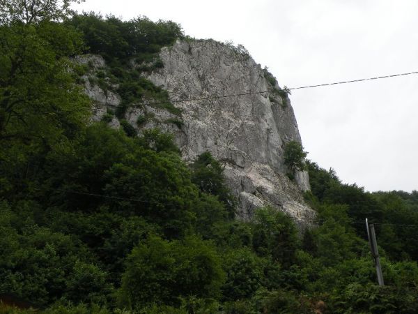 DSCN9423.JPG
