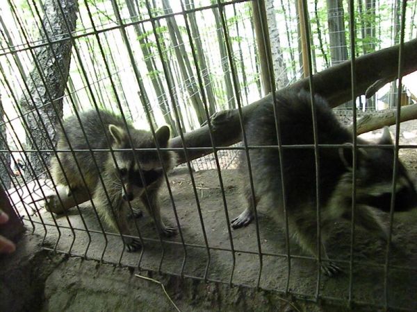 DSCN0755.JPG