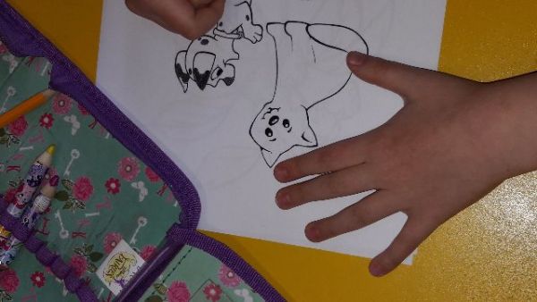 20161107_125546.jpg