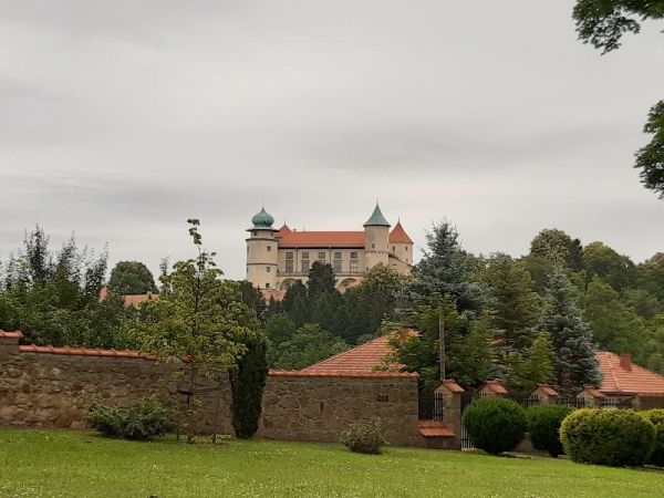 20240612_091455.jpg
