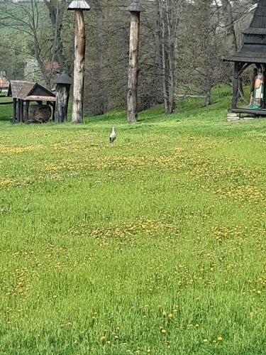 20230427_121837.jpg