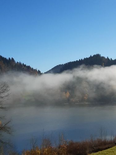 20221026_111630.jpg